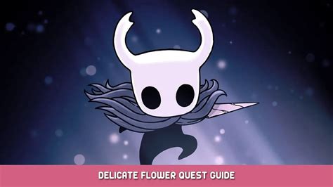 Hollow Knight Delicate Flower Quest Guide