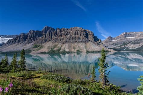 Bow Lake Banff National Park Alberta Canada Stock Photo Image Of