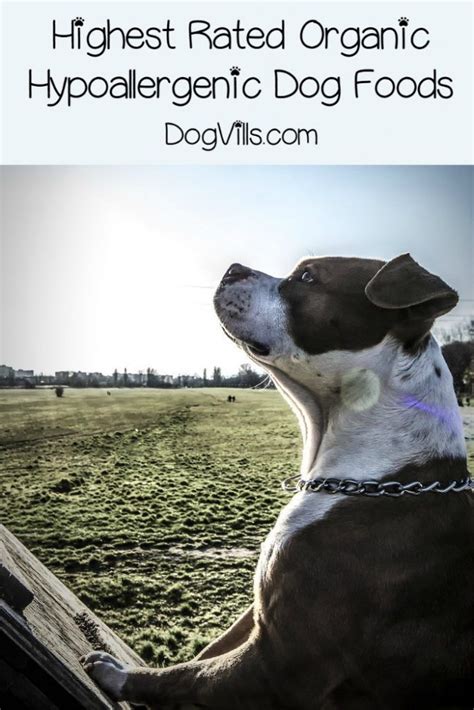 Hypoallergenic dog treats offer all the benefits of hypoallergenic dog food, but in your dog's favorite flavor. Best Organic Hypoallergenic Dog Foods | Training your dog ...