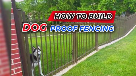 How To Build Dog Proof Deck Railing Youtube