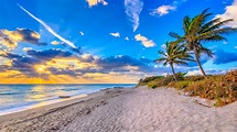 Discover The Palm Beaches: Travel Weekly