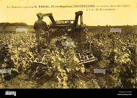 Tracteur Vigneron Georges Vidal à Chenilles Stock Photo Alamy