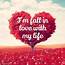 I Love My Life Quotes For Your Inspiration  Funlavacom