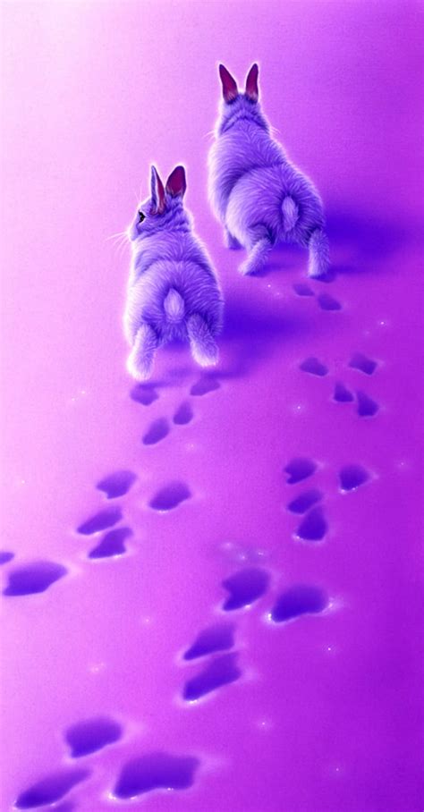 1920x1080px 1080p Free Download Hop Bunny Rabbits Purple Prints