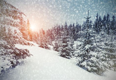 Winter Wonderland 4k Wallpapers Top Hình Ảnh Đẹp