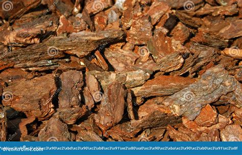 Wooden Chip Bark Pieces Which Have Been Shredded For Using As Soil In