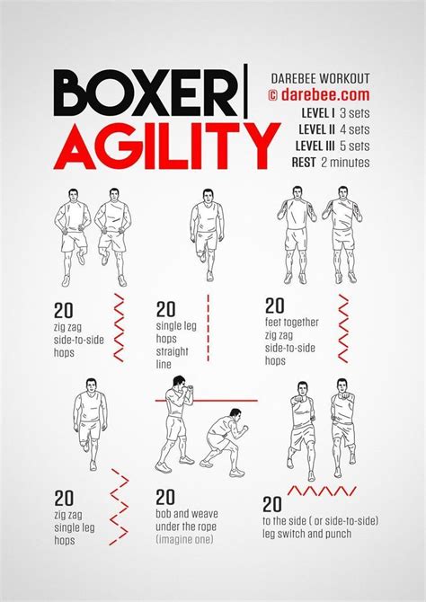 Boxer Agility Workout Boxing Training Workout Agility Workouts