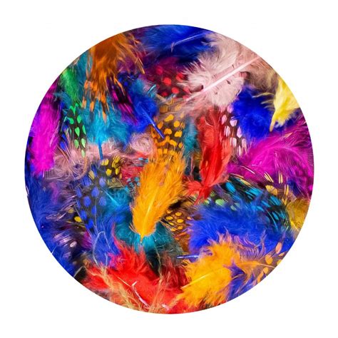Coloured Guinea Fowl Feathers Dala