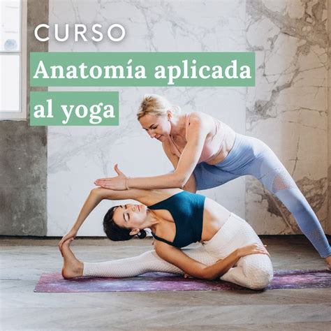 Curso online de anatomía aplicada al yoga Yoga Sin Fronteras