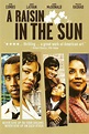 A Raisin in the Sun (2008) - Posters — The Movie Database (TMDB)