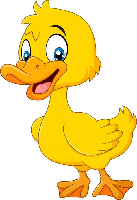 Imagenes De Patos Animados Dibujos Animados Lindo Pato Aislado Sobre