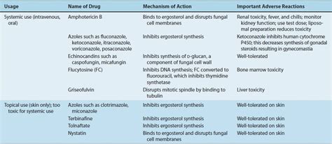 Classification Of Medically Important Bacteria Basicmedical Key