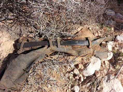 Boy Scouts Discover Human Remains On Arizona Strip Cedar City News