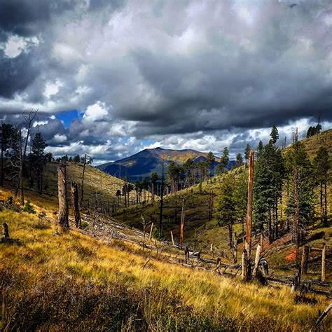 Brewing White Horse Hills Flagstaff Az Looking Toward Kendrick Peak