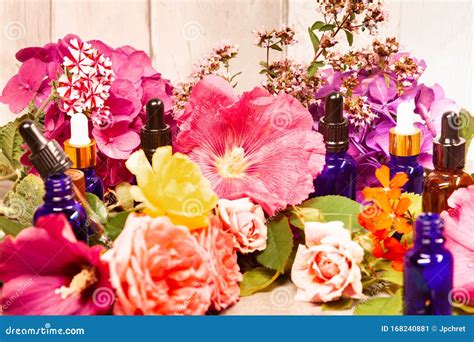 Flowers And Bottles Of Essential Oils For Aromatherapy Stock Image