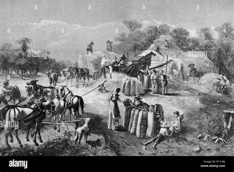 1870s 1878 Farm Harvest Scene Threshing Grain Illustration By O D