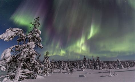 Laponia Finlandesa Diez Motivos Para Visitarla En Invierno Y Solo Uno