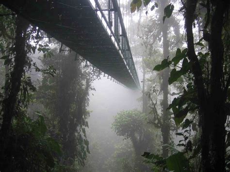 The Disappearing Clouds In A Costa Rican Cloud Forest Good