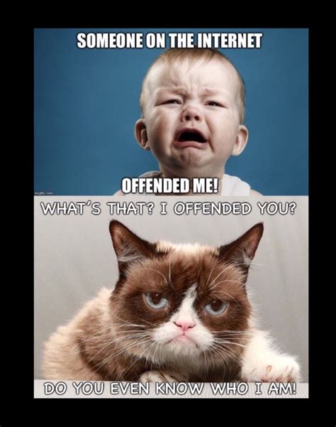 Savage Grumpy Cat Memes Cat Gyr