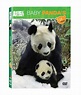 Baby Pandas First Year ( Dvd ) ( English ): Buy Online at Best Price in ...