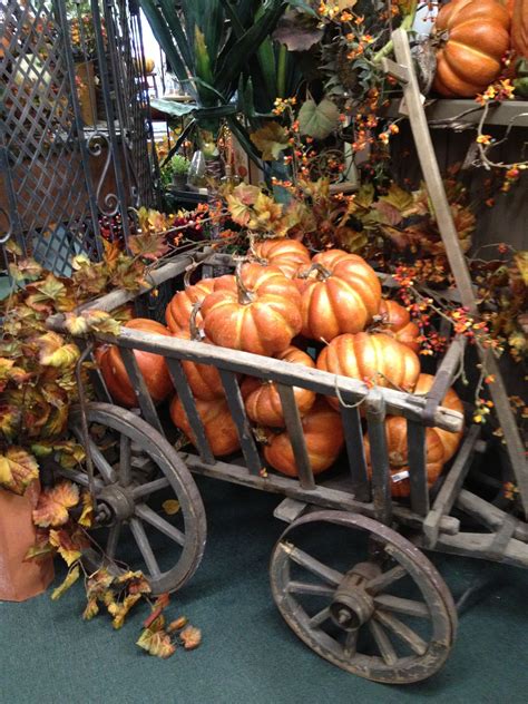 Goat Cart Full Of Pumpkins At Ramahs Fall Deco Autumn