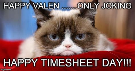 Timesheet Reminder Funny Cat Meme
