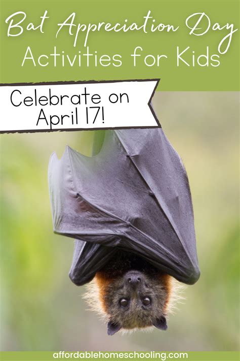 15 Awesome Bat Appreciation Day Activities For Kids