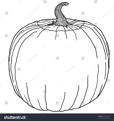 Blank Jack O Lantern Pumpkin Template Stock Vector Royalty Free