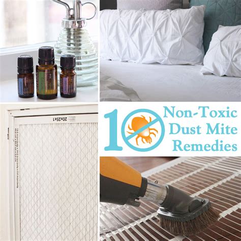 10 Non Toxic Dust Mite Remedies For Your Home Pretty Handy Girl