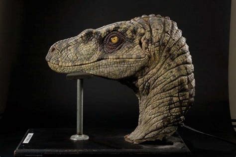 Female Velociraptor Insert Head Jurassic Park Iii With Images