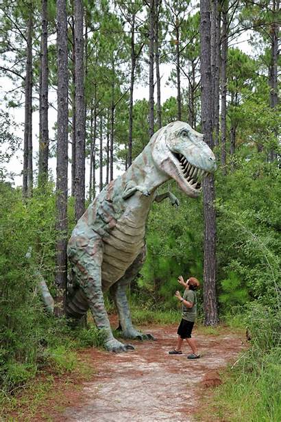 Alabama Elberta Dinosaurs Trex Marina Barber Gulf