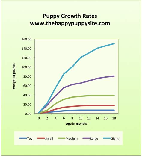 Maltipoo Growth Chart
