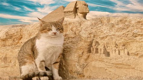 Esta Es La Razón Por La Que Los Egipcios Adoraban A Los Gatos