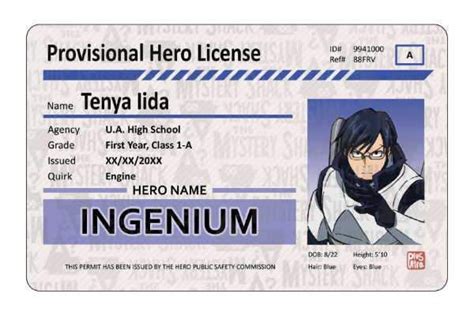 Provisional Hero Licenses My Hero Academia Themysteryshack Hero