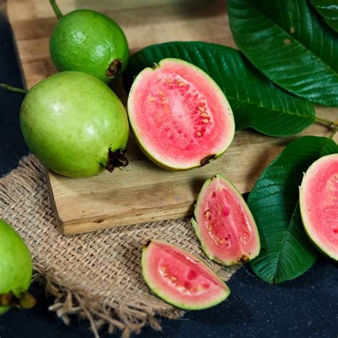 Tropical Pink Guava Trees For Sale
