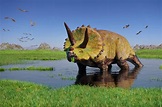 Triceratopo, il dinosauro erbivoro con corna e collare