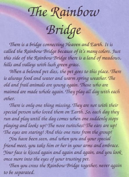 For a printable version of the rainbow bridge poem click here. Pin by elizabeth 59 on Animals I Love | Rainbow bridge dog ...