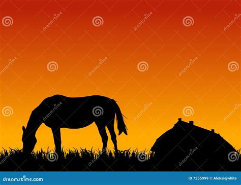 Horse Eating Grass At Sunset Near Stable Stock Illustration