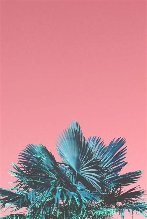Neon Palm Tree Tumblr Iphone Wallpaper Wallpaper Art