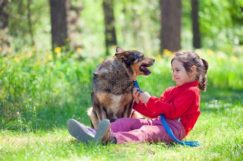 Little Girl With Big Dog In The Forest Stock Image Image Of Leaves