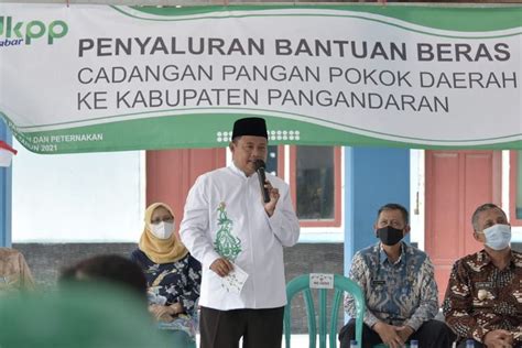 Lowongan kerja pt cogindo daya bersama. Loker 2021 Daerah Kalibaru Banyuwangi - Kepala Daerah ...