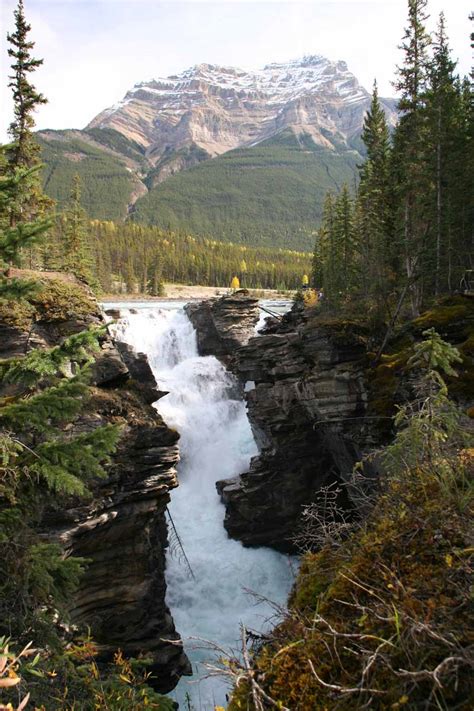 Athabasca Falls Waterfall With A Pretty Mountain Backdrop