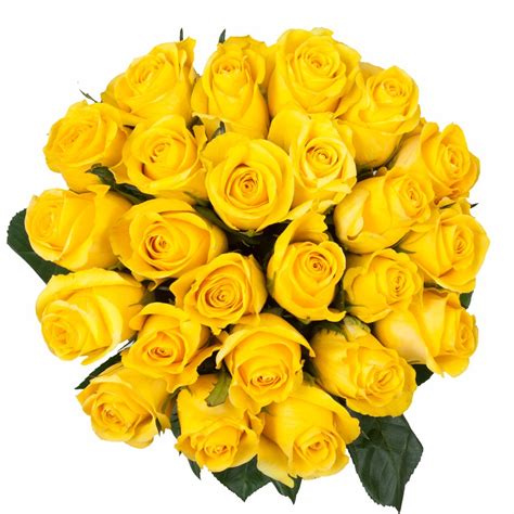 Visit the meaning of flowers glossary so you know exactly what you're saying with your flower delivery. Yellow Premium Roses | Premium Wholesale Flowers | Free ...