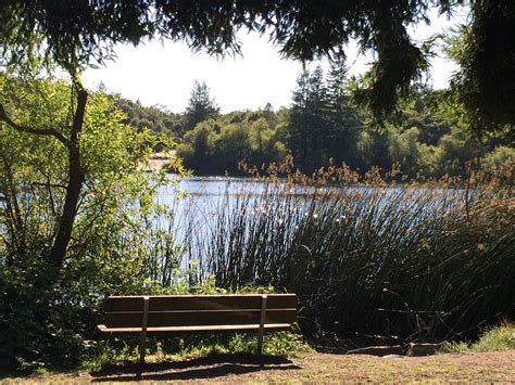 Spring Lake Regional Park Santa Rosa Ca Kid Friendly Activity