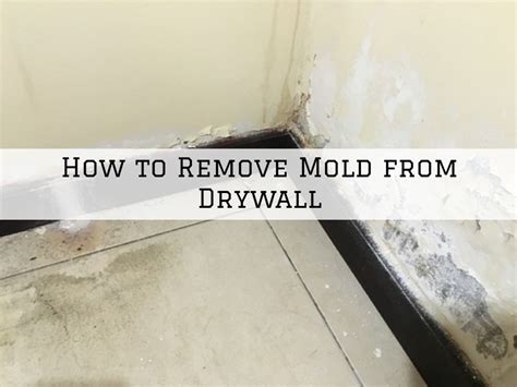 How To Remove Mold From Drywall In Ottawa Ontario Millers Painting