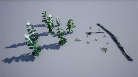 3d Scanned Photo Realistic Forest Landscape Asset Pack Vol 1 In