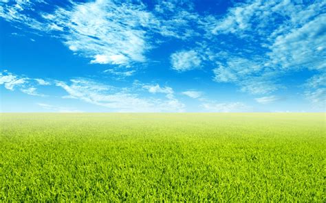 Grass Sky Wallpapers Group 77