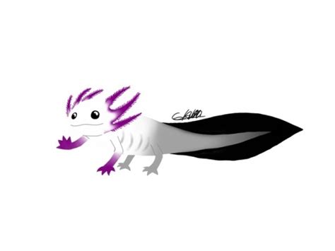 Axolotl Tumblr