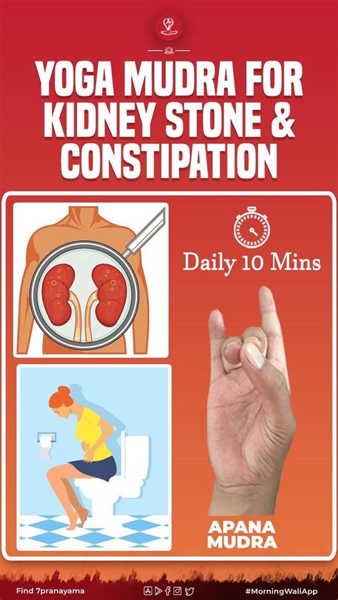 Yoga Mudra For Kidney Stone And Constipation Yoga Facts Brain Yoga