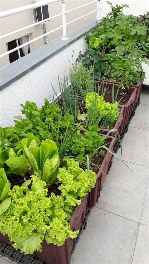 Balcony Garden Ideas Vegetables Garden Plant